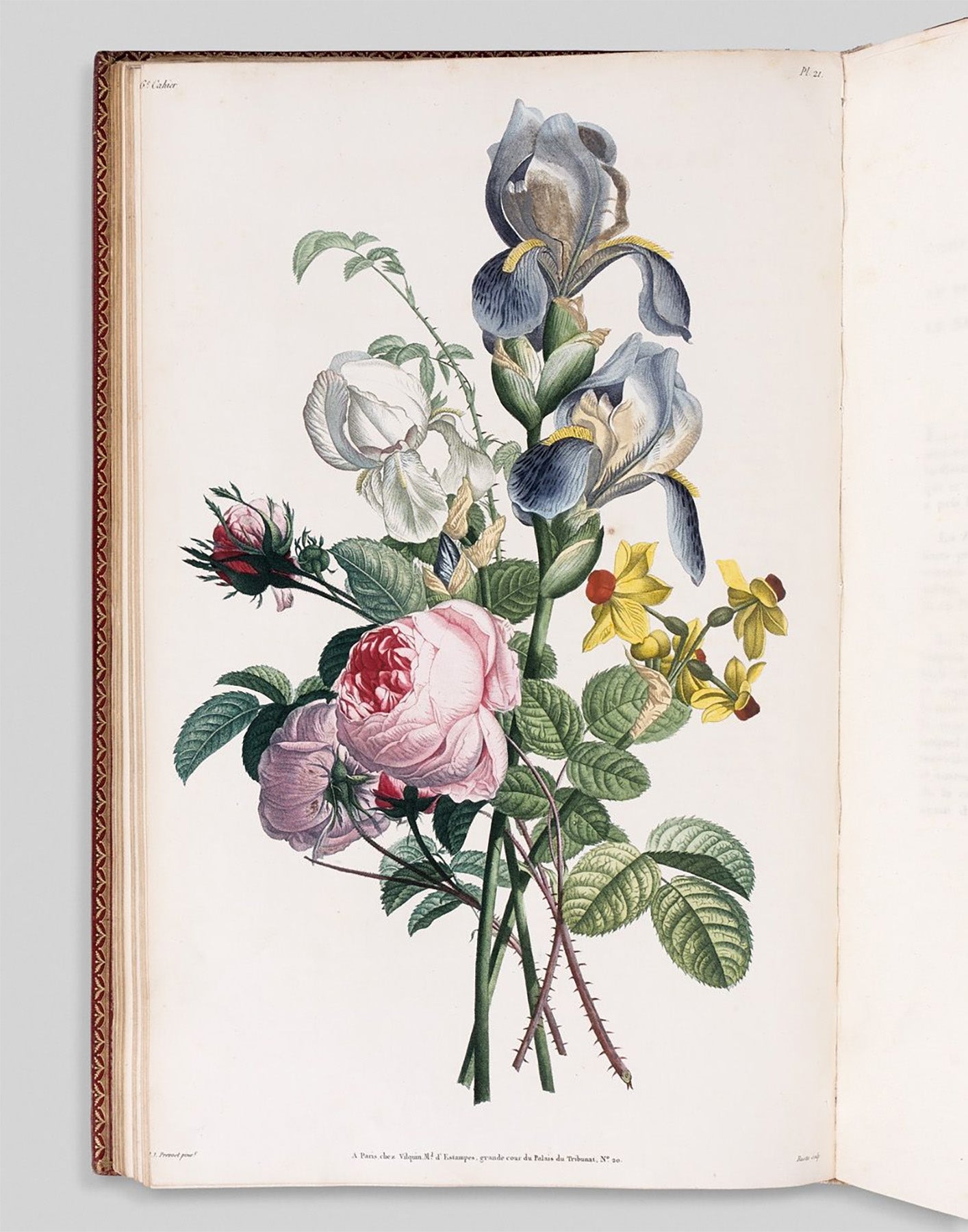Morgaine Earrings - Plate 21 Collection des Fleurs et des Fruits with Emerald